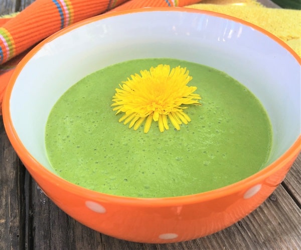 Chilled Nettle Avocado Soup in a bowl