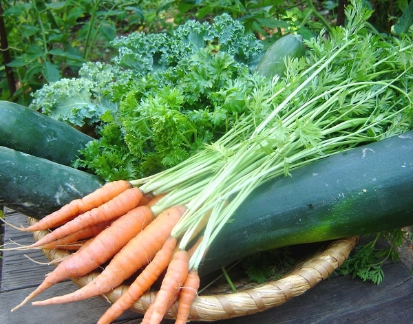 Vegetable basket - detoxify