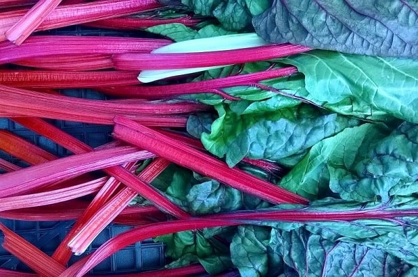 Swiss Chard - excellent digestion