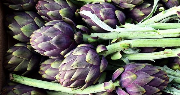 Purple artichokes -healing violet food colour
