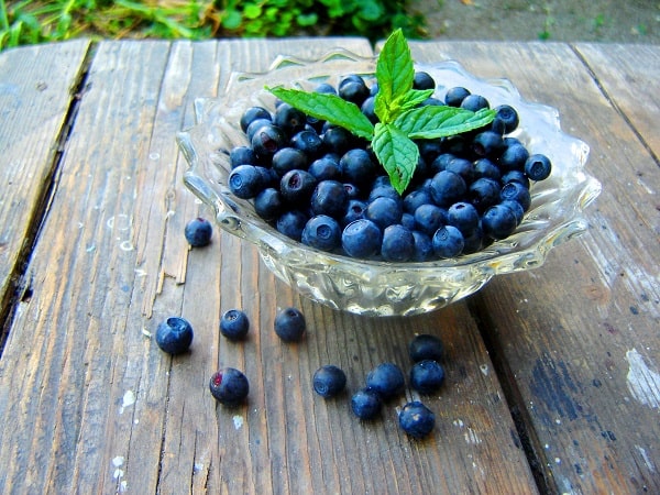 Wild Blueberries - ageless body-conscious mind - healing blue food colour