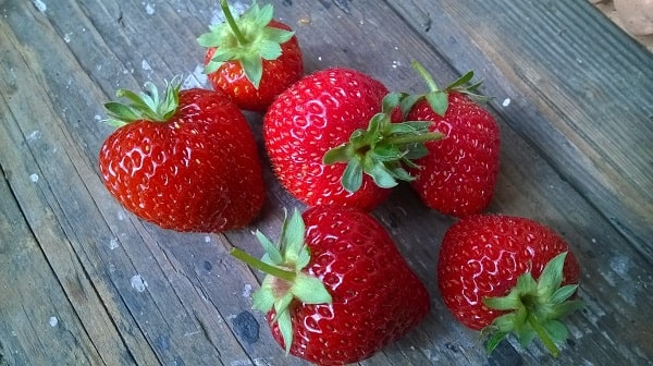 Strawberries energy booster for smoothies - sunshine - healing red food colour - valentine - holiday healthy dishes - 11 sexy foods