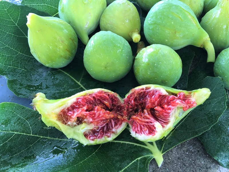 Fresh Geen Figs - sexual vitality