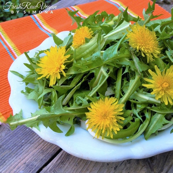 Dandelion Salad with Dandelion Flowers - eat raw food