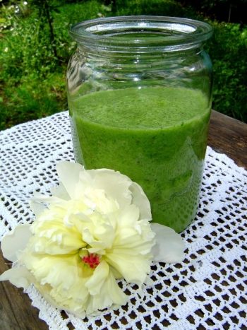 Kalerama Smoothie with white peony